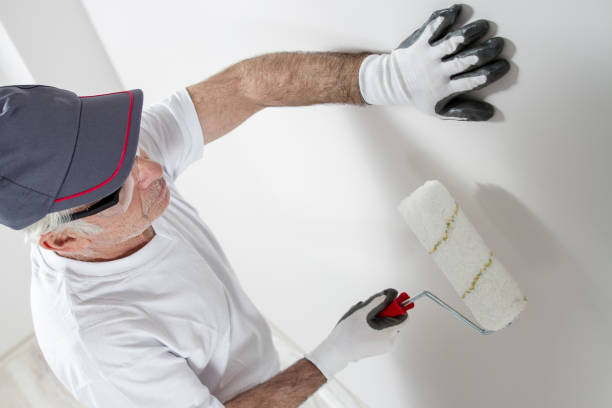 Best Mold Damage Restoration  in Gatlinburg, TN