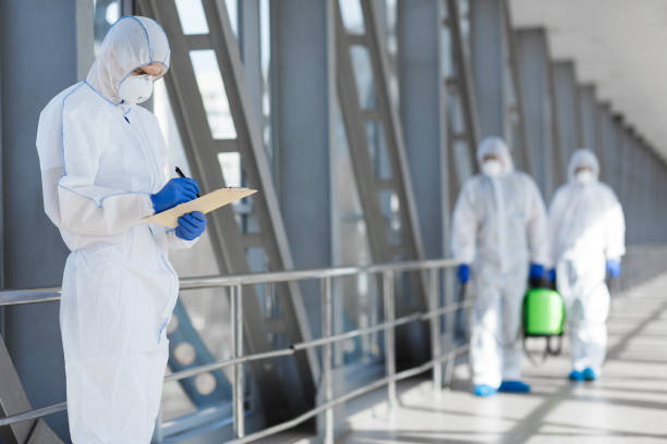  Gatlinburg, TN Mold Removal Pros