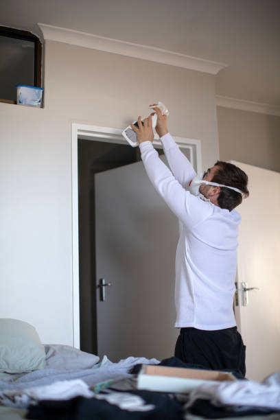 Trusted Gatlinburg, TN Mold Removal Experts