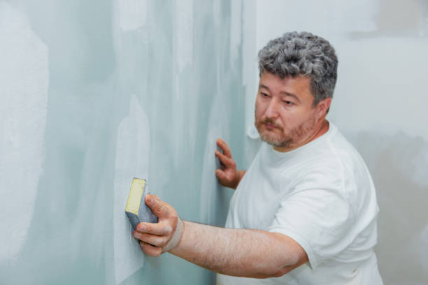 Best Mold Documentation for Insurance Claims  in Gatlinburg, TN