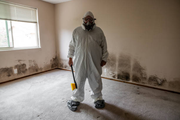 Best Post-Construction Mold Inspection  in Gatlinburg, TN